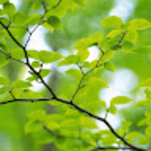 Meet your Posher, Natalia